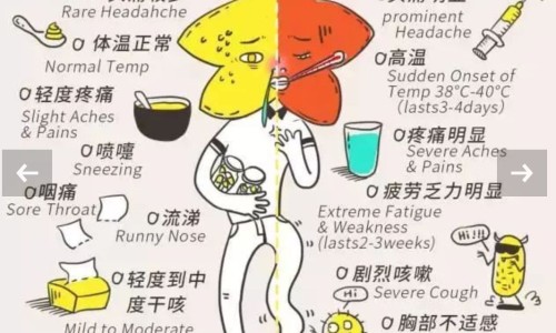 吃多春鱼好吗-孩子吃多春鱼好不好网孩子吃多了肚子疼怎么办知识网站,分享孩子吃多春鱼好不好吃大全